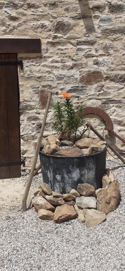Chambre Dhotes B&B Le Figuier Benayes Zewnętrze zdjęcie